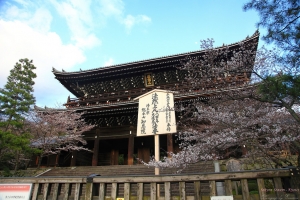 Kyoto, Japan - 桜の降りしきる京都 - VOL 4.1 - 知恩院