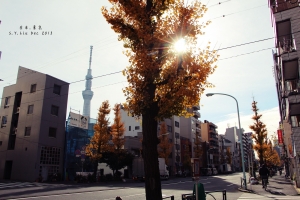 [ 一個人的東京旅 ( 二 ) ] - - 淺草的日與夜 . 街景隨拍
