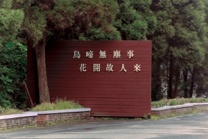 寒假旅遊1-溪頭