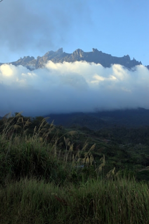 馬來西亞~沙巴之旅