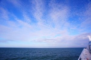 2012菊島遊(圖多)