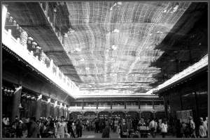 [Espio Mini][BW] 隨拍