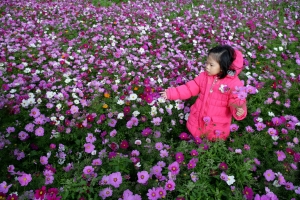 溫柔時刻 - 雜工