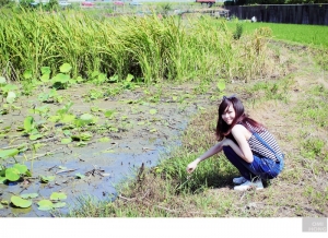 屬於我的快樂*sheep