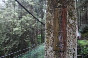 阿里山..美不勝收