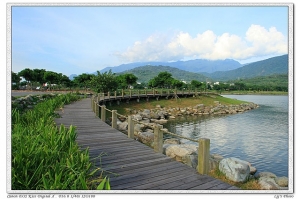 池蓮樂遊-台東池上-大坡池