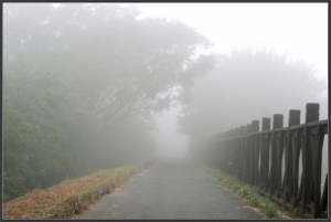 20141125 晨霧特報