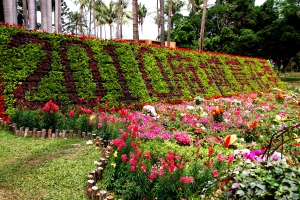 2010台南公園府城賞花季