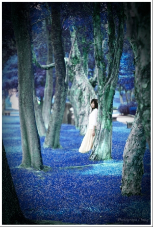 Ghost  輔導級  晚上小心做惡夢