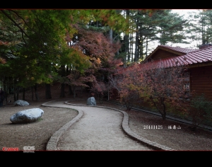 追楓之旅(福壽山農場)