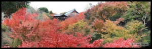 [楓葉]京都-東福寺