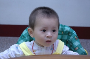 寶貝出遊記