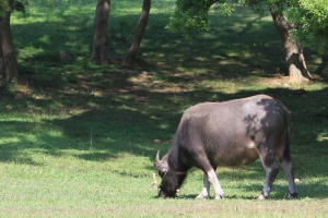 網際超模複賽側寫7D版(瑞)