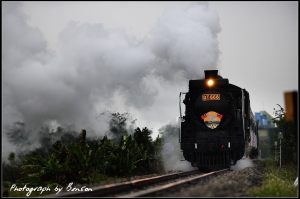 蒸汽火車,嘟嘟嘟.