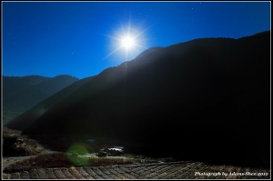 一個人的旅行-追楓@毒魔兔