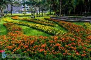 2013士林官邸菊展．隨意拍