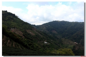 隱居在山裡家人