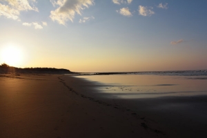 下午無聊到處拍拍