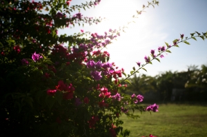 隨便去了一趟峇里島 - 文長圖多