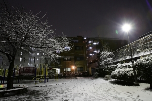 突如其來的大雪