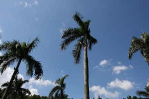 秋天的二二八公園