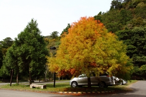 奧萬大~~我來了!!