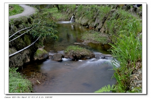 新手報到~請大家多多關照