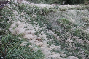 太平山之新手練拍^_^