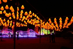 台灣燈會在彰化鹿港~主燈,福臨門,鐵金剛