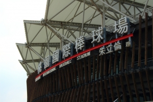 中華職棒初體驗