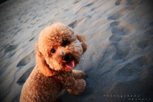 難道這是命運的安排