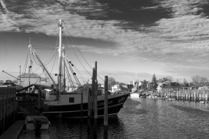 Freeport NY, No M...