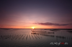 七股夕景