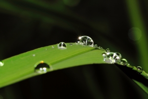 百微+接寫環打星芒