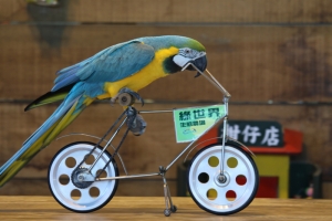 2009/12/13北埔綠世界一日遊~~