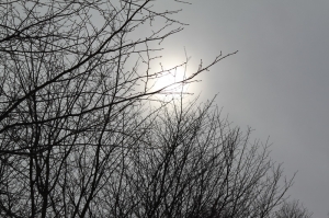 北海道之旅{第2彈}