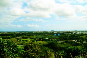 我在台東天氣陰.晴.不定