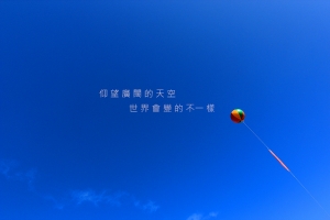 2013新社花海 <上>~日與夜