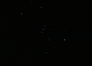(星座夜拍)有獵戶沒流星!
