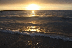 太冷了!!  來張夕陽下的海浪!