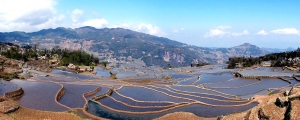藍色梯田--雲南/元陽