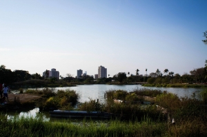 650D+18-55，衛武營練拍