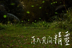 落入凡間精靈