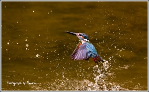 Breaking The Surface