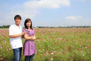 新社花海