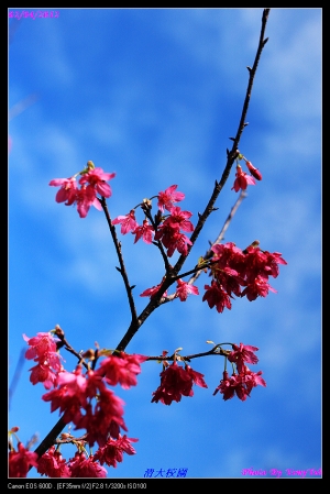 清華大學的校園風情(上) ... By Tony