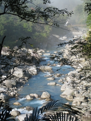 花蓮富源蝴蝶谷