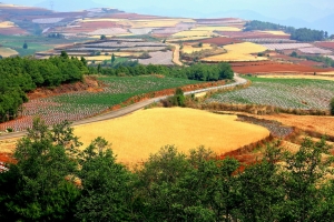 七彩雲南〔九〕— 紅土大觀