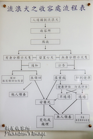 2010.4.10.新屋收容所義工
