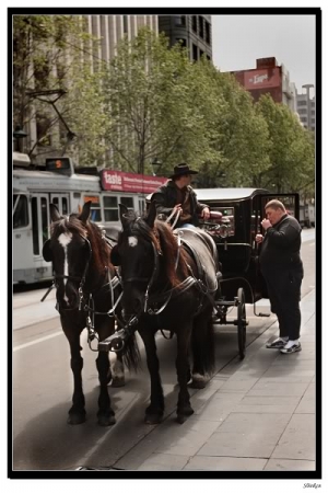 澳洲墨爾本街景